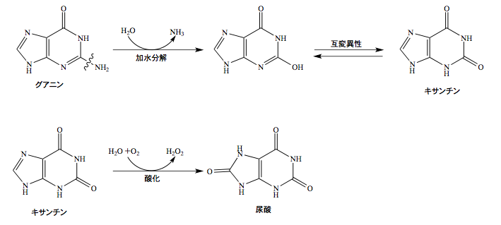 解説画像